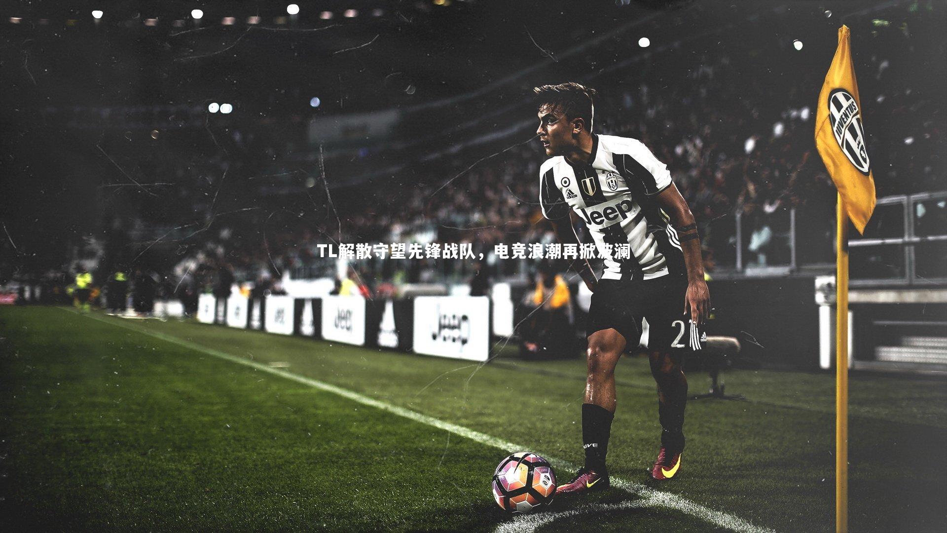 【开云官网登录入口】TL解散守望先锋战队，电竞浪潮再掀波澜