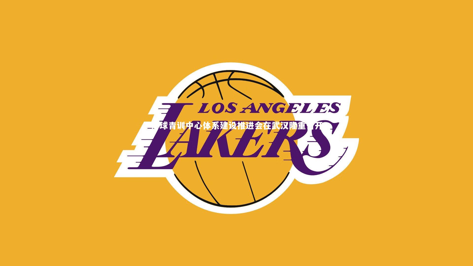 开云体育下载|足球青训中心体系建设推进会在武汉隆重召开